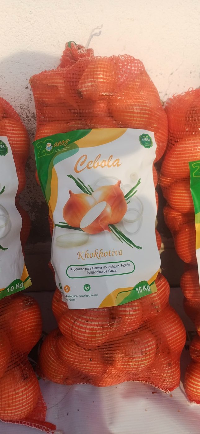 Cebola produzida no ISPG, embalada e pronta para venda