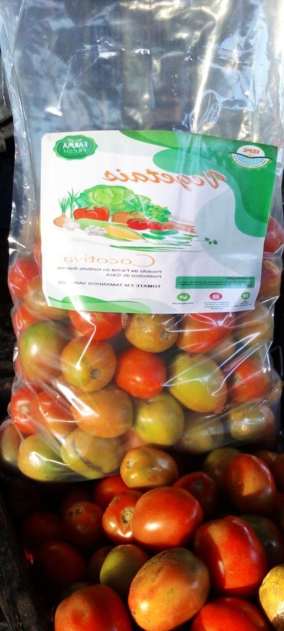 Comercialização do tomate produzido no ISPG