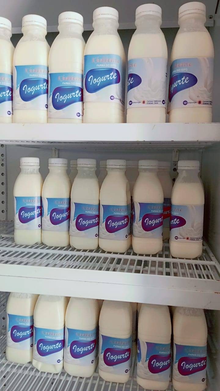 Yogurt produzido na FARMA do ISPG
